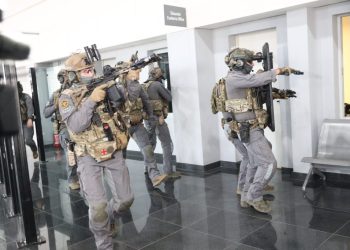 «Odin»: Η επιχείρηση «αστραπή» για τη σύλληψη του 37χρονου στην Κρήτη – Η εκπαίδευση στη Μαλαισία, οι διασυνδέσεις και τα σχέδια για βόμβα