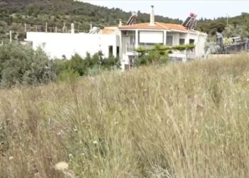 Ακαθάριστα οικόπεδα: Σε εφαρμογή το σχέδιο ελέγχων σε όλη τη χώρα – Βαριά πρόστιμα