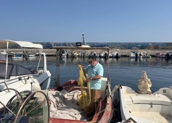 Οι λαγοκέφαλοι «εξαφάνισαν» τα χταπόδια στα νερά της Κρήτης