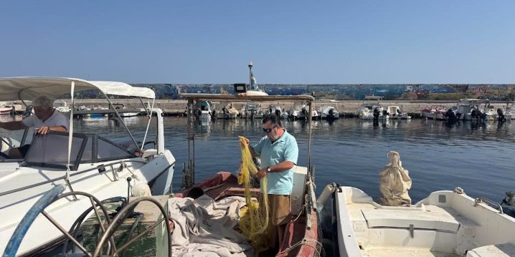 Οι λαγοκέφαλοι «εξαφάνισαν» τα χταπόδια στα νερά της Κρήτης