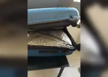 Ηράκλειο: Διεθνές κύκλωμα πίσω από τη βαλίτσα με τα 20 κιλά χασίς – Στον Εισαγγελέα η 22χρονη Ισπανίδα